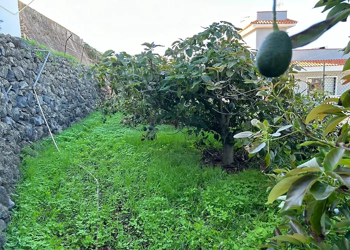 Daire Casa La Oliva Garachico (Tenerife)