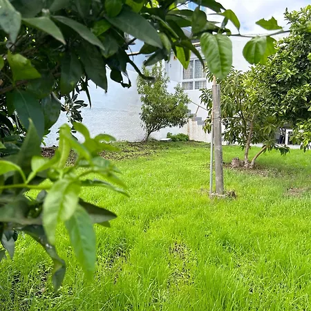 Casa La Oliva Lejlighed