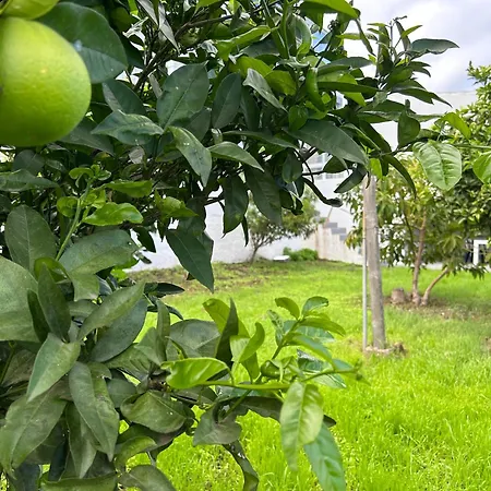 Lejlighed Casa La Oliva *