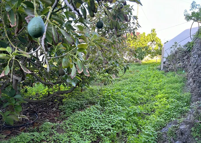 דירה Casa La Oliva