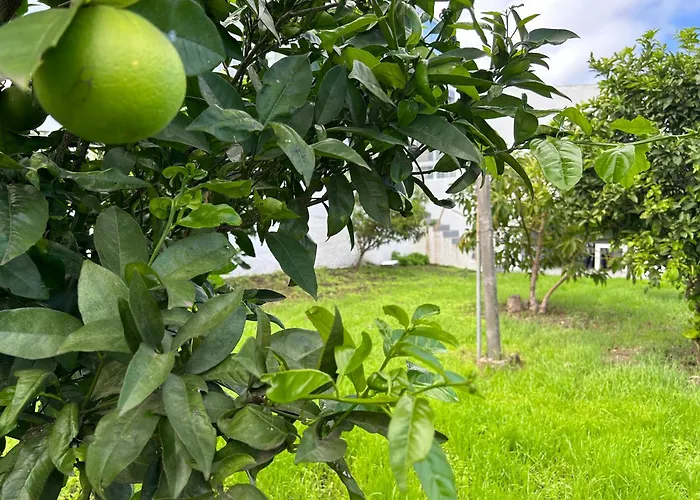 דירה Casa La Oliva *