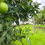 Апартаменты Casa La Oliva *