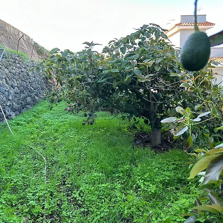 Apartment Casa La Oliva Garachico (Tenerife)