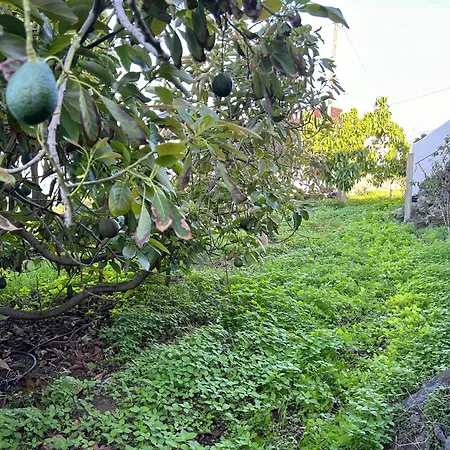 Lägenhet Casa La Oliva