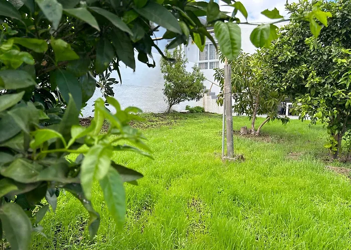 Casa La Oliva Apartamento